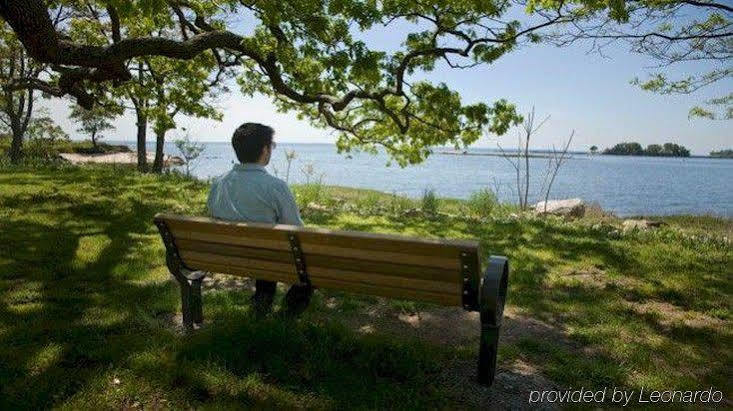 암스테르담 호텔  스탬퍼드 외부 사진